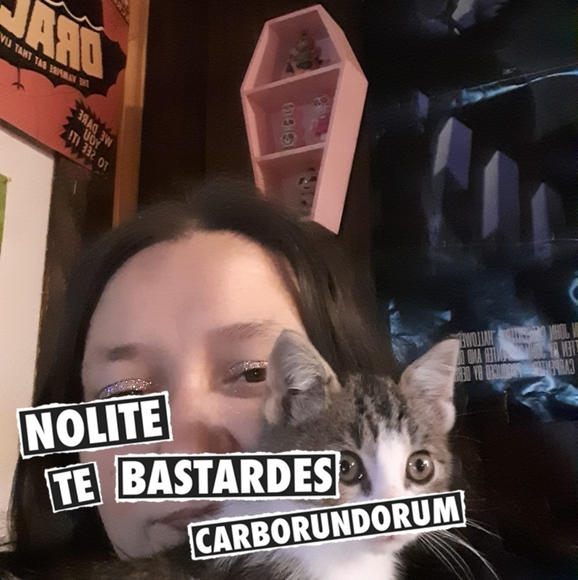 Meet your Posher, Amber - Picture 1 of 1